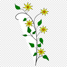 Jun 20, 2021 · di kebun ini pengunjung bisa memuaskan penasaran berada di antara ribuan bunga edelweis tanpa harus ke alam bebas. Bunga Edelweiss Motif S Daun Cabang Png Pngegg