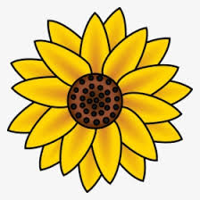 Draw leaf, start small flower. Country Sunflower Clip Art Clipart Free Download Easy To Draw Sunflowers Hd Png Download Transparent Png Image Pngitem