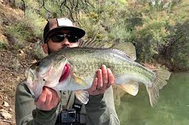 The inland desertscape at joshua tree. Bass Fishing In Southern California What You Need To Know