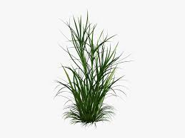 Weeds Png Transparent Png Transparent Png Image Pngitem Weed control smoke weed rumor weed butterfly weed tumble weed sea weed weed the people. weeds png transparent png
