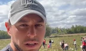 Productor regala tomates ante la crisis del sector y el video se vuelve  viral