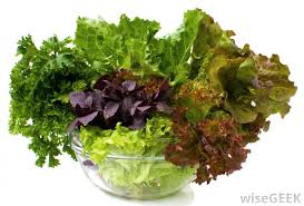 What Are Salad Greens With Pictures