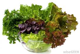 what are salad greens with pictures