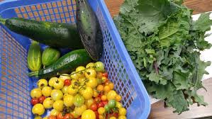 Macronutrients are fats, carbohydrates, proteins, and water. Food Micronutrients Explained The Necessary Essentials Msu Extension