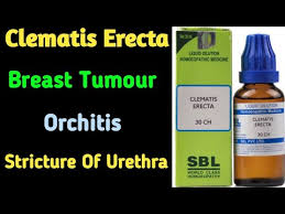 1st potency available up to 30ch 1ère dilution disponible jusqu'à 30ch 200ch 200k 1000k 10 000k. Clematis Erecta Ii Clematis Erecta Homeopathic Medicine Youtube