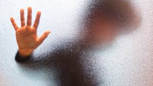 © paradise birds crafted with by angelina. Springfield Among Highest Number Of Child Porn Cases In The Us Why