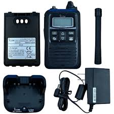 Image result for ICOM IP100H