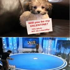 With tenor, maker of gif keyboard, add popular will you be my valentine meme animated gifs to your conversations. Will You Be My Valentine Yes Blink No Do A Backflip By Mustapan Meme Center