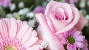 I fiori e il loro significato. Bouquet Del Mese Mazzo Di Fiori Per Un Amica