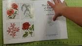 Book clubs that celebrate the floral particulars here should also notice the way that the book is structured. Book Review 02 The Language Of Flowers By Vanessa Diffenbaugh Youtube