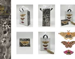 Devon Dewey in KS, USA :: Behance