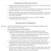 It team leader resume examples. 3