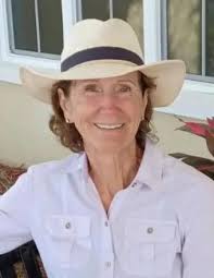 Karen L. Huisman Obituary (2025)