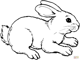 Known for their short, furry tails and long ears, rabbits are a common mammal found throughout the world. 22 Beautiful Image Of Rabbit Coloring Pages Davemelillo Com Bunny Coloring Pages Animal Coloring Pages Rabbit Pictures