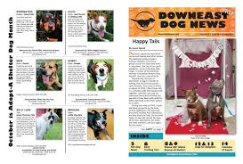 When an animal is adopted/goes up for adoption they are taken off/put on the website automatically! Downeast Dog News October 2019 By Jennifer Rich Wendi Smith Issuu