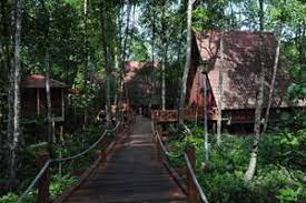 Hutan paya bakau merupakan satu kawasan ekosistem yang harus dipelihara bagimengelakkan berlaku sebarang kemusnahan di kawasan ini. Pusat Eko Pelajaran Hutan Paya Laut Matang Jabatan Perhutanan Semenanjung Malaysia
