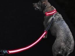 Robot Check Dog Leash Up Dog Pet Leash