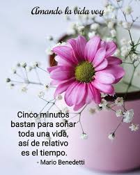 24 Me Gusta 0 Comentarios Amando La Vida Voy Amandolavidavoy En Instagram Cinco Minutos Bastan Para Sonar Toda Una Vida Asi De Relativo Es El Tiempo