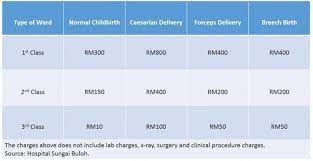 Malaysian government employees generally don't have to pay much to access public medical services; Pregnancy Guide Expenses To Expect When Expecting Comparehero