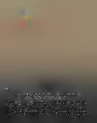 Image result for Cyrtanthus welwitschii