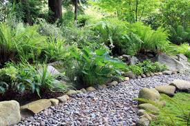 Check spelling or type a new query. Shade Loving Plants For The Garden Gardening Tips With J Parker S