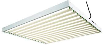 Check spelling or type a new query. T5 Grow Lights Our Top 7 Picks For 2021 Epic Gardening