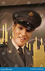 247 Elvis Young Stock Photos