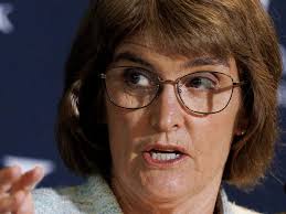 Miniature horses grow in popularity