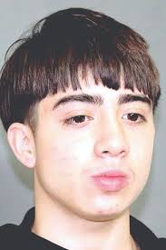 Crime group cuffed after burglary spree