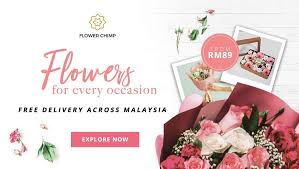 Informasi lengkap taksonomi, morfologi, dan sebaran amorphophallus titanum atau bunga bangkai adalah tumbuhan yang terkenal di seluruh dunia dengan ukuran sangat besar. Gubahan Indah Jambangan Bunga Flower Chimp Hadiah Untuk Tersayang Ceritera Si Gadis Biru