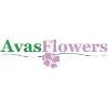 5505 us hwy 98 n, lakeland, fl 33809, usa address. Salary Floral Associate Glassdoor