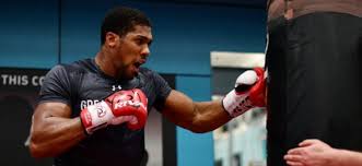 Après tout, les deux hommes possèdent toutes les ceintures mondiales chez les lourds : Anthony Joshua Vom Tellerwascher Zum Millionar Box Sport De