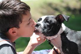 Big snuffly anteater out of nowhere!