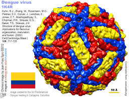 Virusworld Dengue Virus