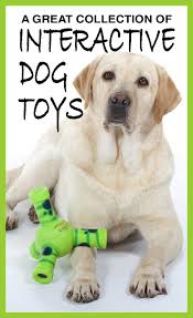 Our Favorite Interactive Toys The Labrador Site Interactive Dog Toys Interactive Toys Stimulating Dog Toys