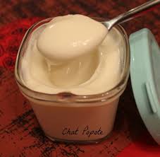 Yaourts Des Neiges Recette Yaourt Nature Recette Yaourt Avec Yaourtiere Recette Yaourt Maison