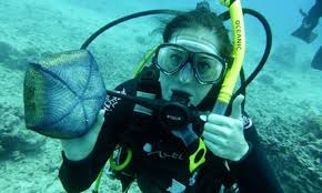 Late Morning Shallow Reef Scuba Dive Honolulu Oahu Hawaii