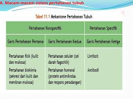 Sistem Pertahanan Tubuh Ppt Download