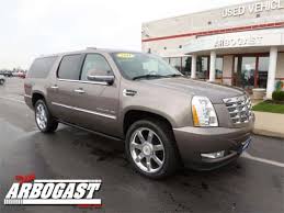 Image result for Gold Mist 2011 Terrain