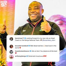 National Super League, Division Leagues & Regional Leagues