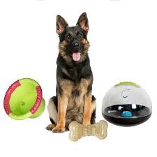 Wobble wag giggle ball, interactive dog toy, fun giggle sounds when rolled or shaken, pets know best, as seen on tv. Dog Toys Play Akc Shop