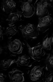 Black Wallpaper Iphone Red Roses Beautiful Roses Black Rose