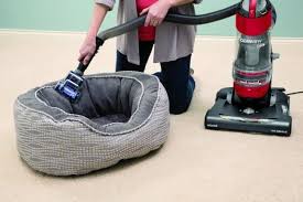 Bissell Proheat Pet Instructions 33 Practical Products That Will Help Your Home Be The Cleanest It S Ever Been Bissell Vacuum Pet Vacuum Cleaning