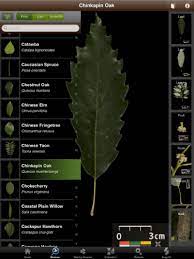 The Creators Of Leafsnap Describe The App As An Electronic Field Guide Using Visual Recognition Software T Science Apps High School Students Biology Classroom