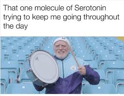 35 Memes Tweets That Ll Keep You Grinning Really Funny Laugh Funny Pictures