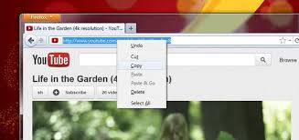 Copy formatted text to the clipboard, download in txt format, and download in srt format. How To Download Subtitles From Youtube 4 Steps Instructables