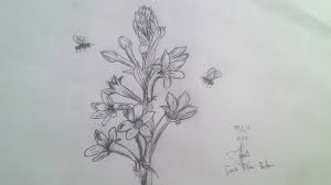 Sketsa bunga tulip, sketsa bunga matahari, gambar sketsa bunga matahari, sketsa bunga teratai, lukisan bunga yang mudah ditiru, sketsa bunga sepatu, sketsa bunga sakura, cara menggambar. Sketsa Bunga Sedap Malam Kata Kata