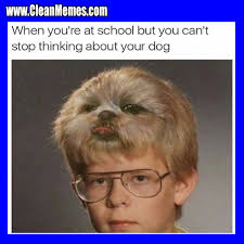 Write About - More School memes