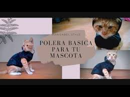 Como Hacer Ropa Para Tu Gato O Perrito Aprende A Realizar El Molde Y Confeccionarlo Youtube Ropa De Gato Ropa Para Perros Ropa Para Perros Chica