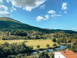 miˈnejɾu (listen)), or the brazilian mountain dialect (portuguese: Restaurante O Mineiro Ribeira De Pena Restaurant Bewertungen Telefonnummer Fotos Tripadvisor